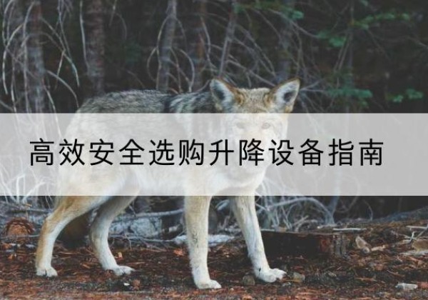忻州升降货梯厂家推荐-*安全选购升降设备指南