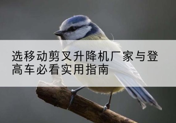忻州电动升降机厂家-选移动剪叉升降机厂家与登高车必看实用指南